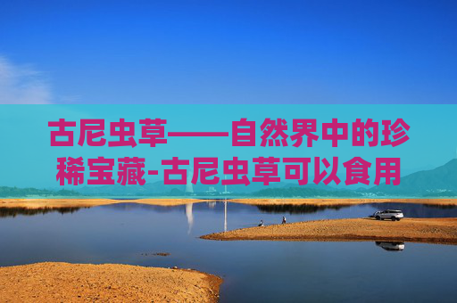 古尼虫草——自然界中的珍稀宝藏-古尼虫草可以食用吗