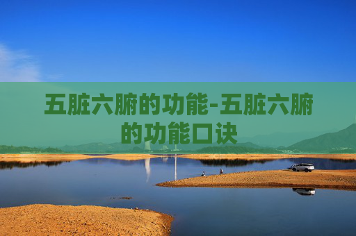 五脏六腑的功能-五脏六腑的功能口诀