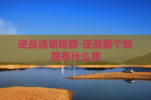 逆战透明翅膀-逆战那个翅膀有什么用