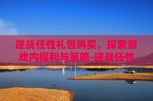 逆战任性礼包购买，探索游戏内福利与策略-逆战任性礼包购买网站