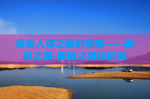 探索人体之脉的奥秘——阳脉之海-阳脉之海指的是