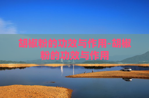 胡椒粉的功效与作用-胡椒粉的功效与作用