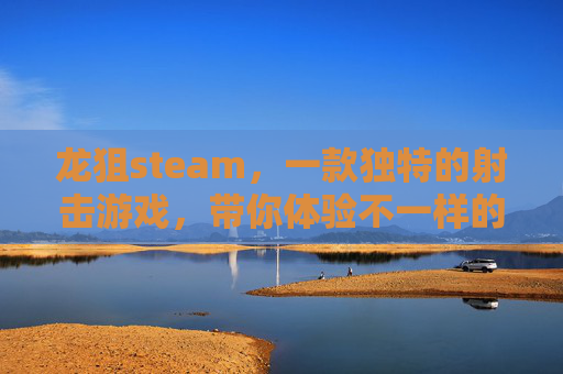 龙狙steam，一款独特的射击游戏，带你体验不一样的战斗乐趣-龙狙箱子
