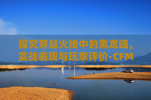 探究穿越火线中的黑龙魂，实战表现与玩家评价-CFM黑龙魂