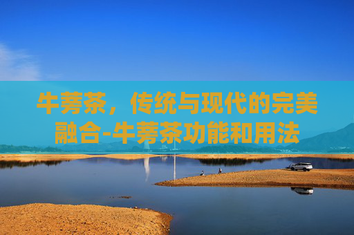 牛蒡茶，传统与现代的完美融合-牛蒡茶功能和用法