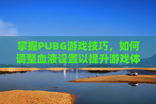 掌握PUBG游戏技巧,如何调整血液设置以提升游戏体验-PUBG怎么把血调成红色 掌握PUBG游戏技巧,如何调整血液设置以提升游戏体验-PUBG怎么把血调成红色
