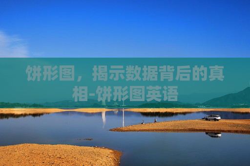 饼形图,揭示数据背后的真相-饼形图英语 饼形图,揭示数据背后的真相-饼形图英语