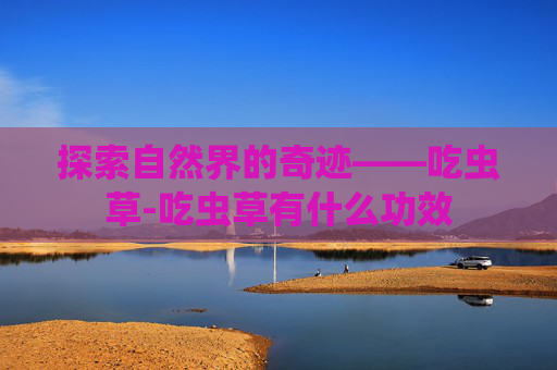探索自然界的奇迹——吃虫草-吃虫草有什么功效 探索自然界的奇迹——吃虫草-吃虫草有什么功效
