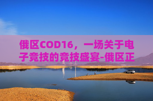 俄区COD16,一场关于电子竞技的竞技盛宴-俄区正版网站 俄区COD16,一场关于电子竞技的竞技盛宴-俄区正版网站