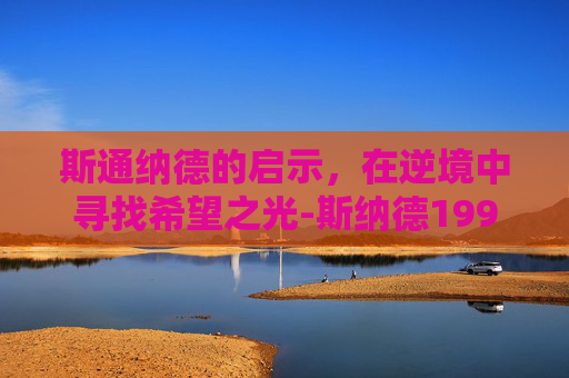 斯通纳德的启示,在逆境中寻找希望之光-斯纳德1999 斯通纳德的启示,在逆境中寻找希望之光-斯纳德1999