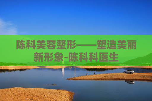 陈科美容整形——塑造美丽新形象-陈科科医生