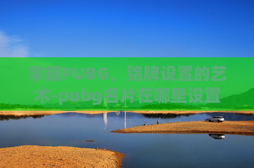 掌握PUBG，铭牌设置的艺术-pubg名片在哪里设置