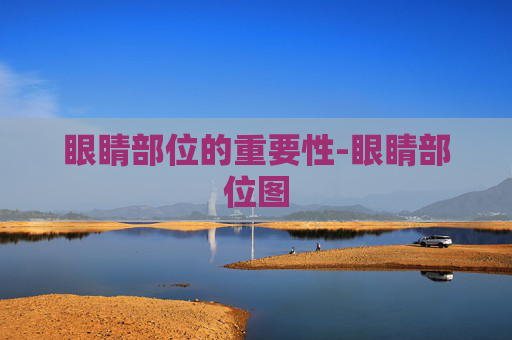 眼睛部位的重要性-眼睛部位图