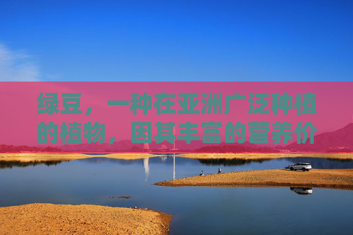 绿豆，一种在亚洲广泛种植的植物，因其丰富的营养价值和多种健康益处而备受推崇。绿豆不仅是一种美味的食材，还具有许多药用价值，以下是关于绿豆功效的详细介绍，-绿豆的功效作用与主治