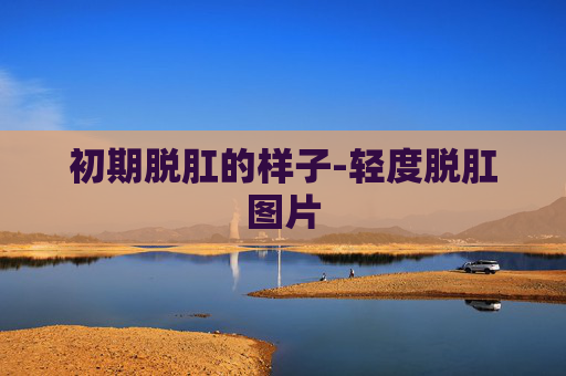 初期脱肛的样子-轻度脱肛图片