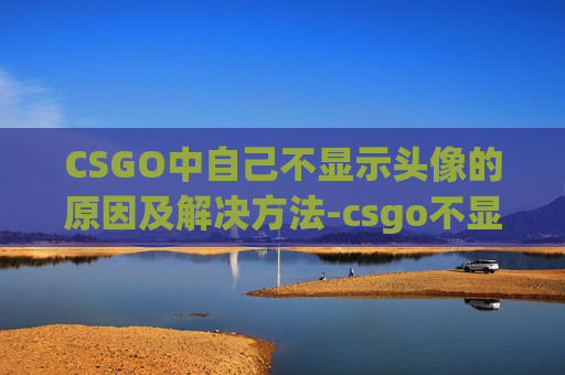 CSGO中自己不显示头像的原因及解决方法-csgo不显示头像只显示人数
