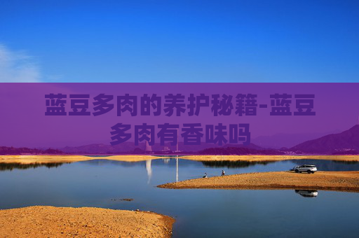 蓝豆多肉的养护秘籍-蓝豆多肉有香味吗