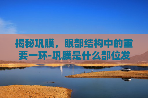 揭秘巩膜，眼部结构中的重要一环-巩膜是什么部位发黄