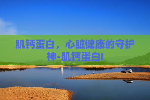 肌钙蛋白，心脏健康的守护神-肌钙蛋白I