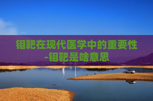 钼靶在现代医学中的重要性-钼靶是啥意思