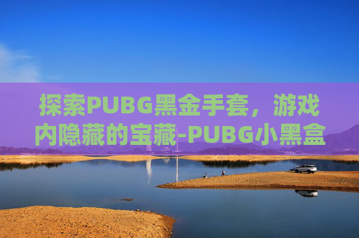 探索PUBG黑金手套，游戏内隐藏的宝藏-PUBG小黑盒手套多少钱