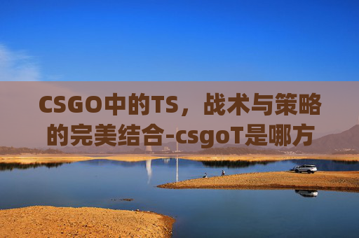 CSGO中的TS，战术与策略的完美结合-csgoT是哪方