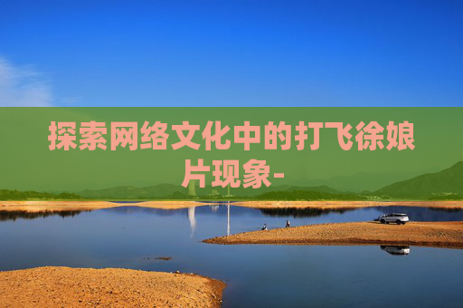 探索网络文化中的打飞徐娘片现象-