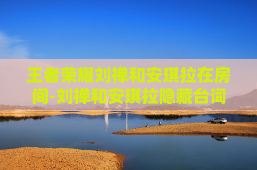 王者荣耀刘禅和安琪拉在房间-刘禅和安琪拉隐藏台词