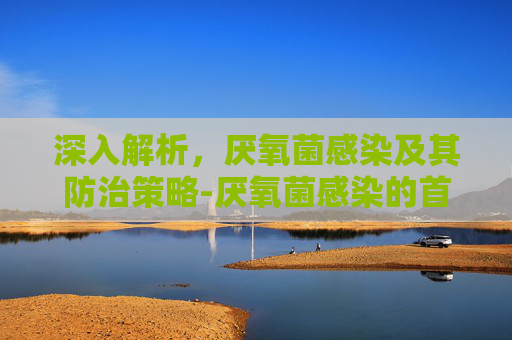 深入解析，厌氧菌感染及其防治策略-厌氧菌感染的首选药
