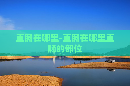 直肠在哪里-直肠在哪里直肠的部位