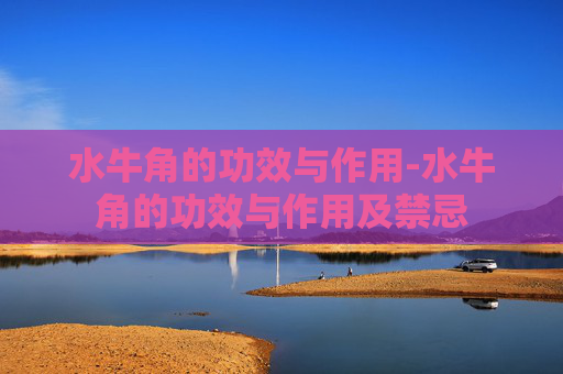 水牛角的功效与作用-水牛角的功效与作用及禁忌