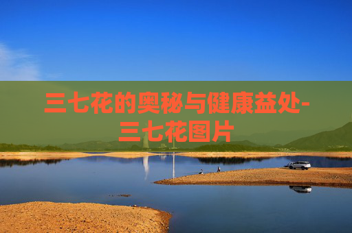 三七花的奥秘与健康益处-三七花图片