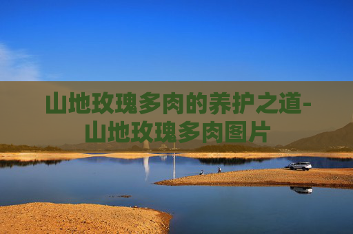 山地玫瑰多肉的养护之道-山地玫瑰多肉图片 山地玫瑰多肉的养护之道-山地玫瑰多肉图片