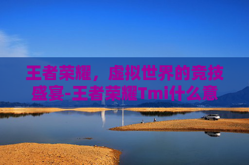 王者荣耀，虚拟世界的竞技盛宴-王者荣耀Tmi什么意思