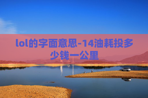 lol的字面意思-14油耗投多少钱一公里