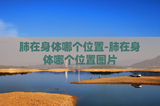 肺在身体哪个位置-肺在身体哪个位置图片 肺在身体哪个位置-肺在身体哪个位置图片