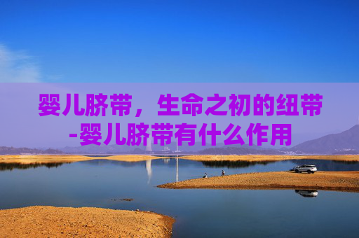 婴儿脐带,生命之初的纽带-婴儿脐带有什么作用 婴儿脐带,生命之初的纽带-婴儿脐带有什么作用