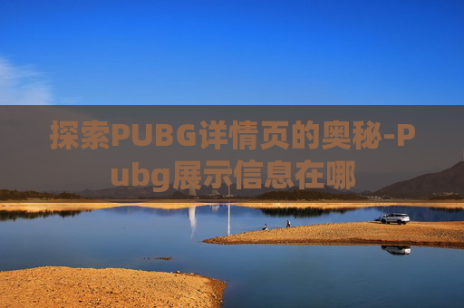 探索PUBG详情页的奥秘-Pubg展示信息在哪 探索PUBG详情页的奥秘-Pubg展示信息在哪