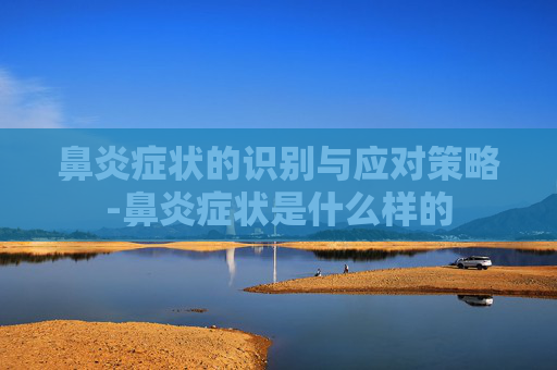 鼻炎症状的识别与应对策略-鼻炎症状是什么样的