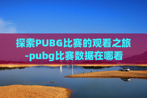 探索PUBG比赛的观看之旅-pubg比赛数据在哪看