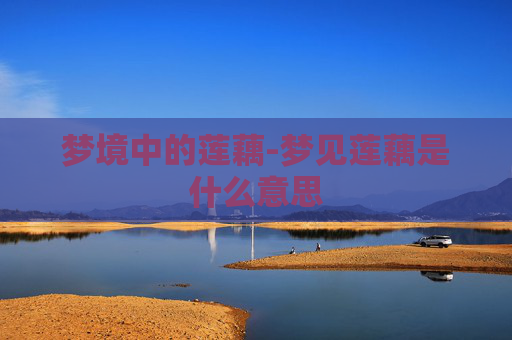 梦境中的莲藕-梦见莲藕是什么意思