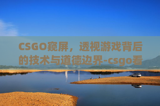 CSGO窥屏，透视游戏背后的技术与道德边界-csgo看录像怎么开x光