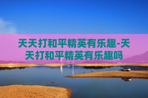 天天打和平精英有乐趣-天天打和平精英有乐趣吗