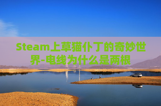 Steam上草猫仆丁的奇妙世界-电线为什么是两根