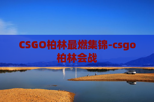 CSGO柏林最燃集锦-csgo柏林会战
