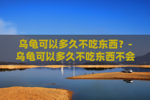 乌龟可以多久不吃东西？-乌龟可以多久不吃东西不会死