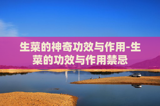 生菜的神奇功效与作用-生菜的功效与作用禁忌