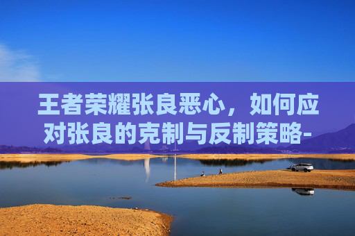 王者荣耀张良恶心，如何应对张良的克制与反制策略-王者荣耀张良强吗