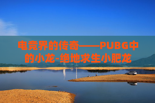 电竞界的传奇——PUBG中的小龙-绝地求生小肥龙