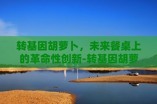 转基因胡萝卜，未来餐桌上的革命性创新-转基因胡萝卜长什么样
